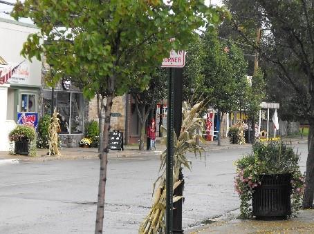 Village of Ortonville